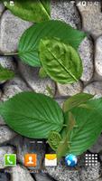 3D Leaves Live Wallpaper পোস্টার