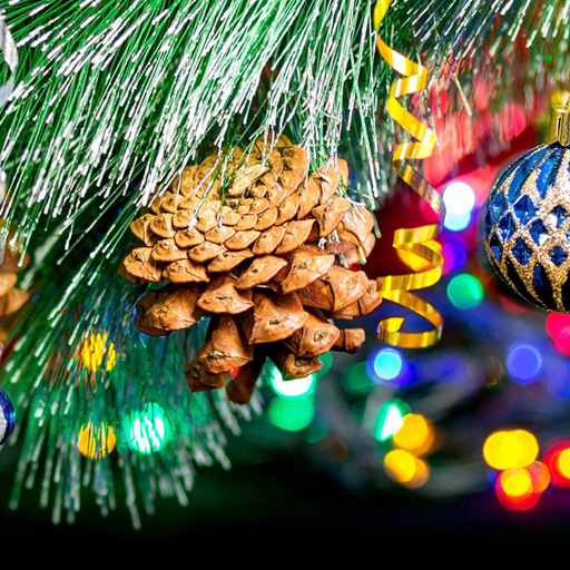 Macro Christmas Live Wallpaper