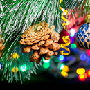 Macro Christmas Live Wallpaper APK