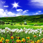 Spring Nature Live Wallpaper آئیکن