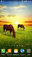 Spring Nature Live Wallpaper ảnh chụp màn hình 2