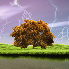 Spring Storm Live Wallpaper أيقونة