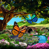 آیکون‌ 3D Butterfly Live Wallpaper