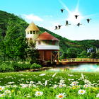 Summer Wallpaper biểu tượng