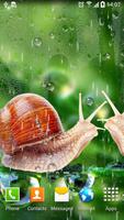 Rain Live Wallpaper Cartaz