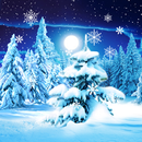 Winter Forest Live Wallpaper APK