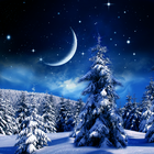 ikon Winter Night Wallpaper