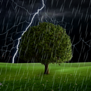 Thunderstorm Live Wallpaper APK