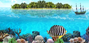 Тропический Океан Lite