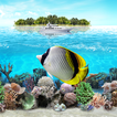 ”Tropical Ocean Wallpaper Lite