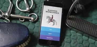 Blackdog Equestrian