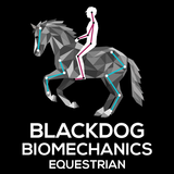 Blackdog Equestrian