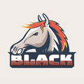 Black Horse 2020