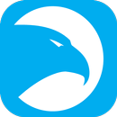 Blackhawk Security APK