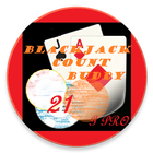 BlackJack Count Plus Pro icône