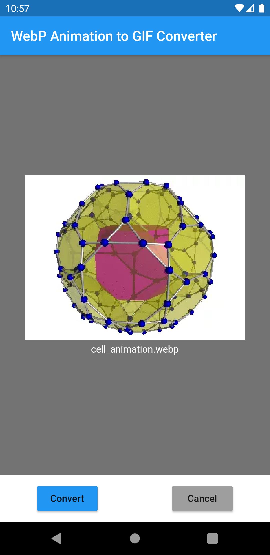 Webp Animation To Gif Converter For Android Apk Download Webp Animation To Gif Converter For Android Apk Download