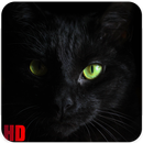 Black wallpaper & Dark Marbre Lockscreen in HD APK