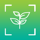 FotoPlant Plant Identification icon