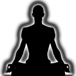 Brian Dorfman Kinesiology