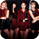 blackpink wallpaper 2023 APK
