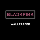 BlackPink Wallpaper HD APK