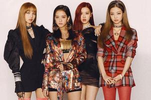 Papier peint Blackpink | Blackpink  les membres Affiche