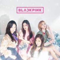 Papier peint Blackpink | Blackpink  les membres capture d'écran 1