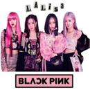 دردشة بلاك بينك-BlackPink Chat APK