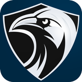 Raven Vpn أيقونة