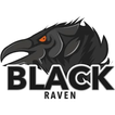 Raven Social Network
