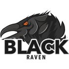 Raven Social Network icône