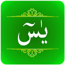 Surah Yaseen Audio APK
