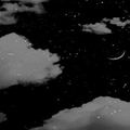 Black Wallpaper