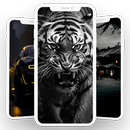 Black Wallpaper 2 APK