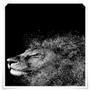 APK Top Black HD Walpaper