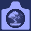 CapCon - Early Access icon