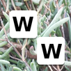 APK Word Whimsy