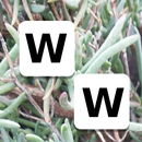 APK Word Whimsy