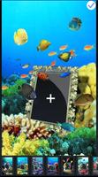 Box Photo Picture Frame Aquarium Collage Wall Affiche