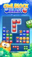 Owl Block Blast Affiche