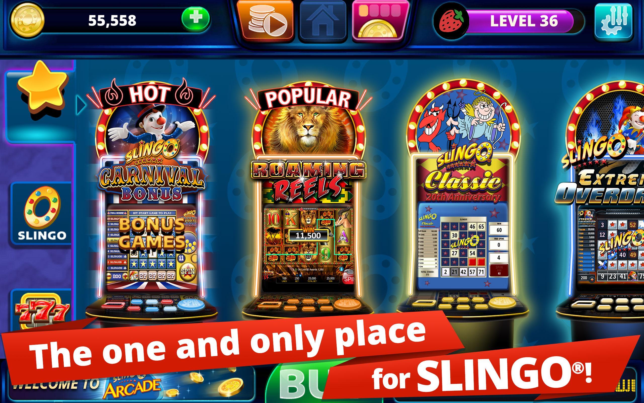 Slingo Bingo Free Games