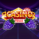 High Roller Casino in Vegas APK