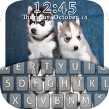 Siberian Husky Puppies Lock ícone