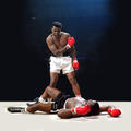 Fight Wallpaper