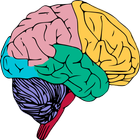 Psychological Big Five Personality Assessment Test icône