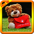 Teddy Bear Wallpapers-icoon