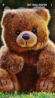 Teddy Bear Wallpapers screenshot 1