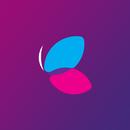 Blink POS APK