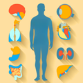 Learn Anatomy & Physiology App
