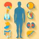 APK Learn Anatomy & Physiology App